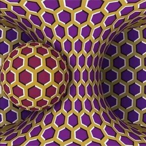 Meet your Posher, Devon